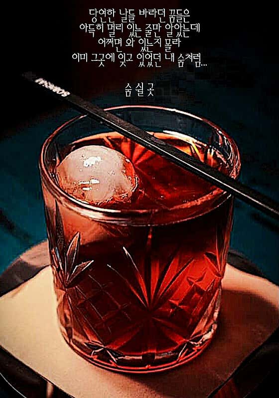 숨쉴곳