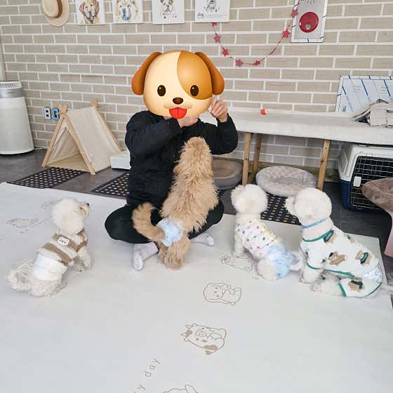 베베펫 애견호텔&미용&돌봄 · 네이버 지도·플레이스 7