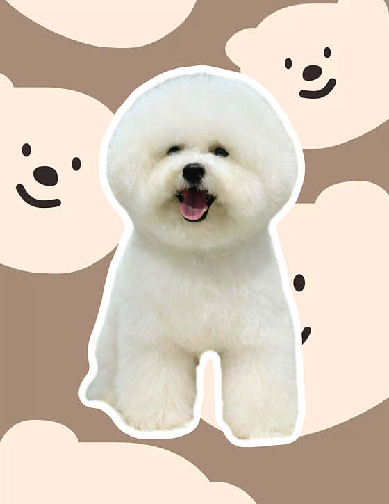 윌리독 펫 살롱 · 네이버 지도·플레이스 3