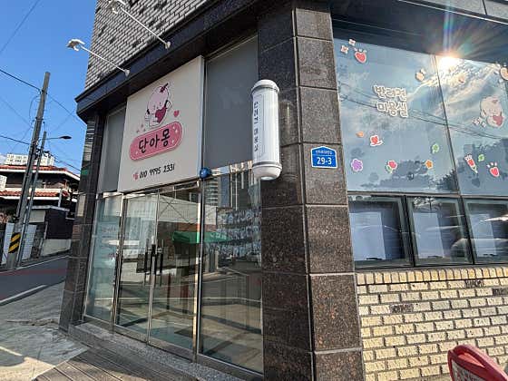단아몽 · 네이버 지도·플레이스 2