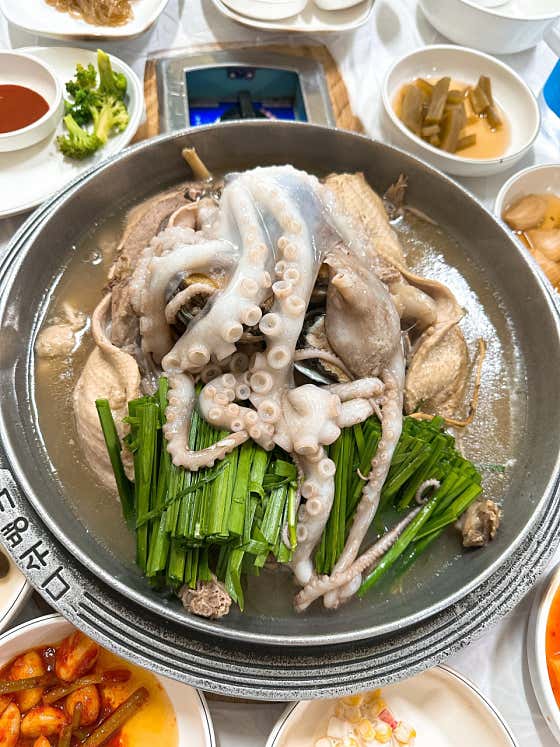 옻오리 백숙 해신탕 메뉴 사진(네이버)