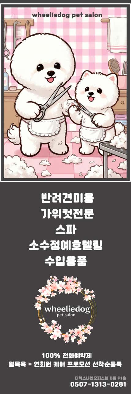 윌리독 펫 살롱 · 네이버 지도·플레이스 2