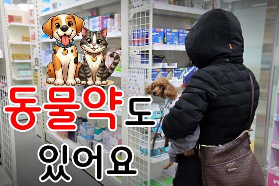 동탄제일큰약국 · 네이버 지도·플레이스 2