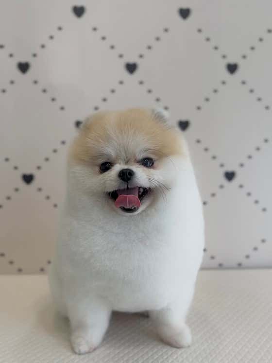 포어웨이즈 · 네이버 지도·플레이스 7