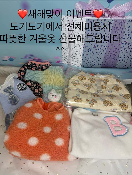 도기도기 · 네이버 지도·플레이스 4