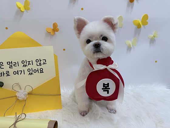 그루몽실