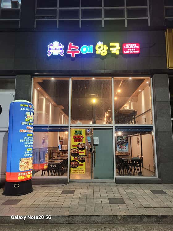 수애왕국