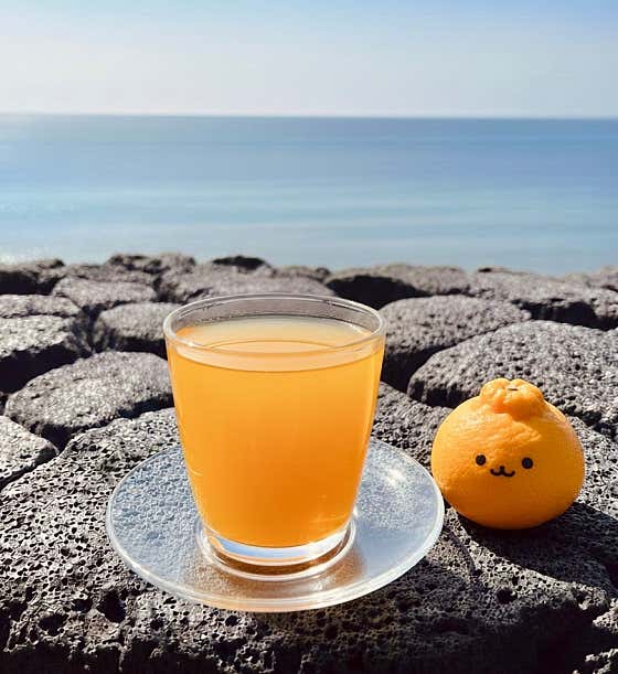 🍊🍯🍵수제한라봉티 🌟 메뉴 사진(네이버)
