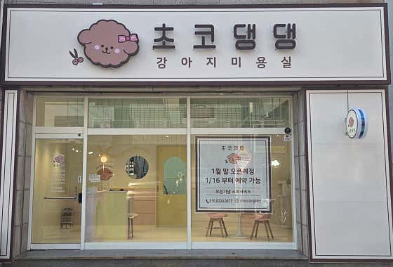 초코댕댕