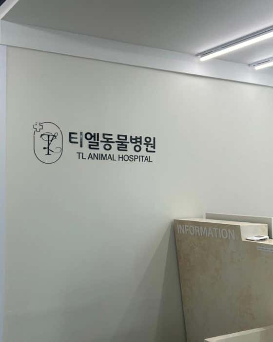 티엘동물병원