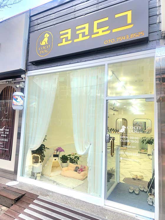코코도그