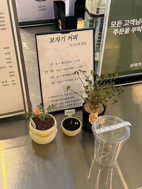 보자기커피 · 네이버 지도·플레이스 6