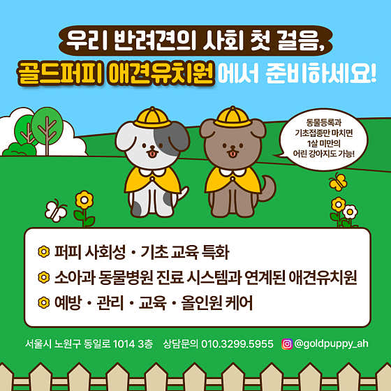 골드퍼피 애견유치원 대표이미지