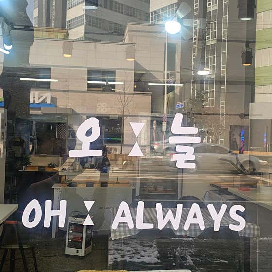 오늘
