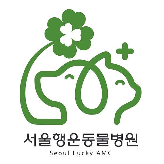 서울행운동물병원 대표이미지