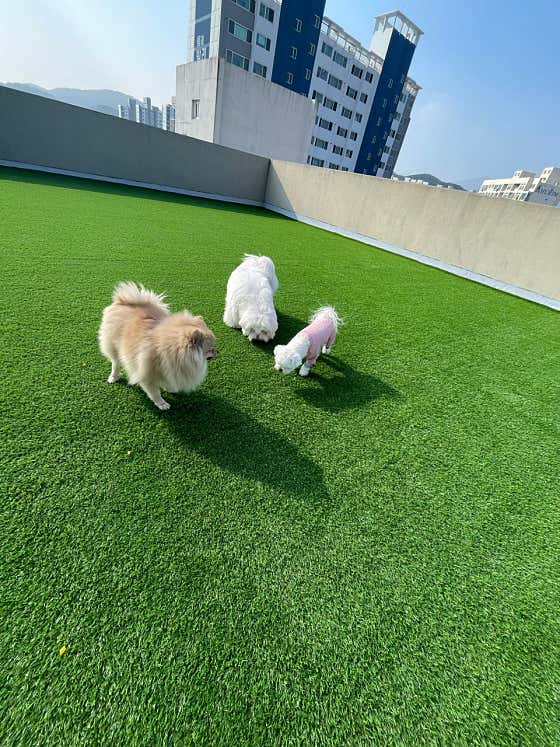멍춘유치원 · 네이버 지도·플레이스 9