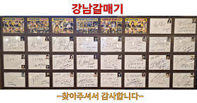 강남갈매기 사진 4