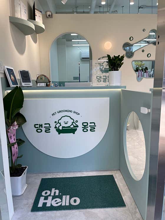 댕글몽글 · 네이버 지도·플레이스 3