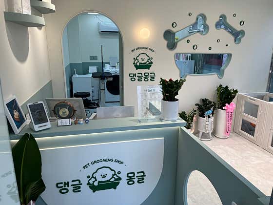 댕글몽글 · 네이버 지도·플레이스 4