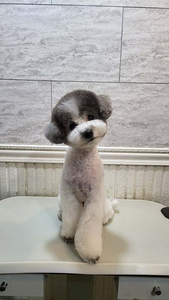 오구오구살롱 · 네이버 지도·플레이스 6