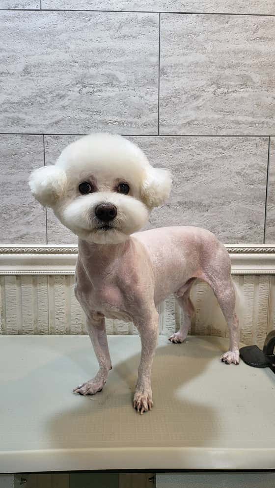 오구오구살롱 · 네이버 지도·플레이스 2