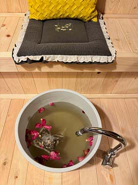 궁아로마 (진안) 매장 사진 4