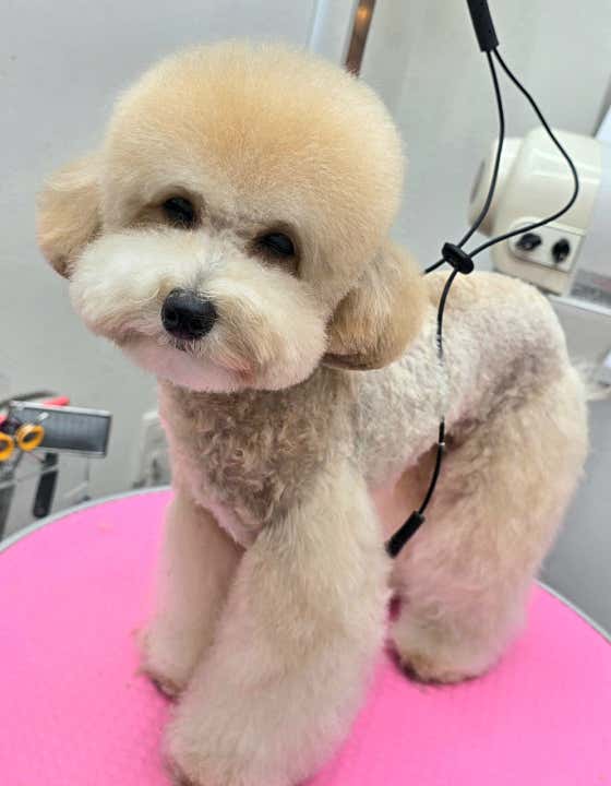 안녕,애기 · 네이버 지도·플레이스 10