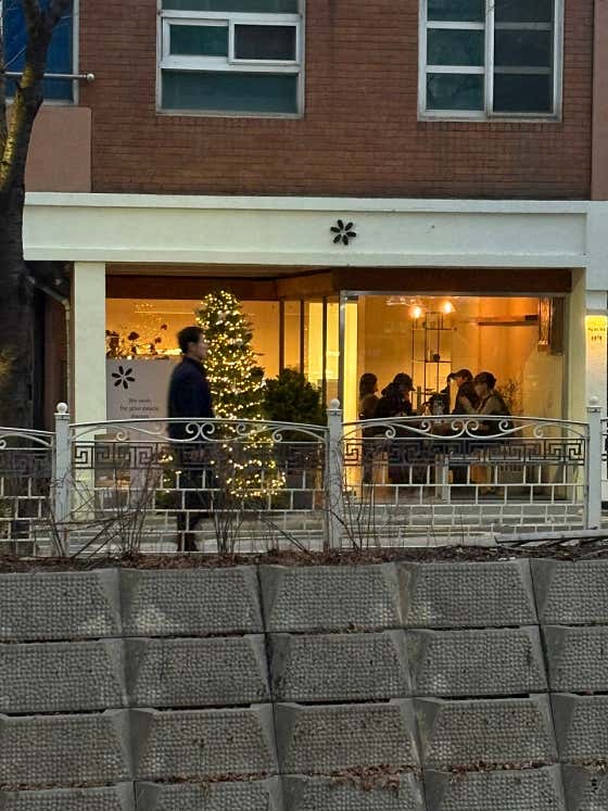아카시아스