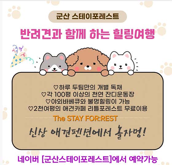 스테이포레스트 펜션 · 네이버 지도·플레이스 9