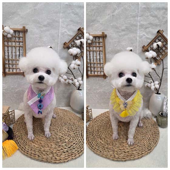 안녕그림아 · 네이버 지도·플레이스 2
