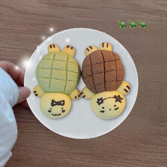 거북이쿠키 메뉴 사진(네이버)