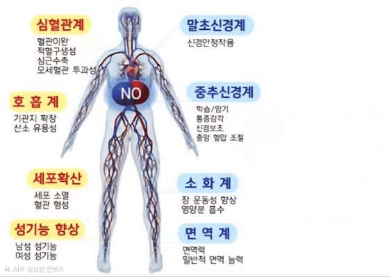 NO솔루션 산화질소 찜질방 · 네이버 지도·플레이스 3