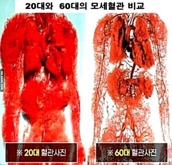 NO솔루션 산화질소 찜질방 · 네이버 지도·플레이스 5