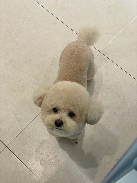 블루시엘 · 네이버 지도·플레이스 6
