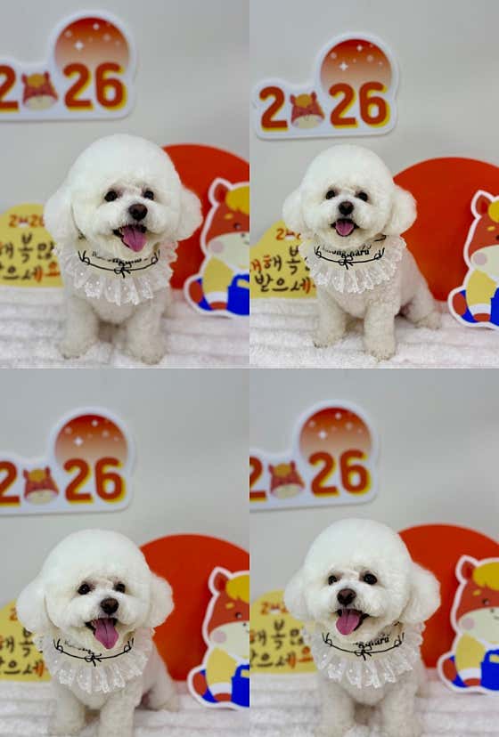 멍이네하루 · 네이버 지도·플레이스 2