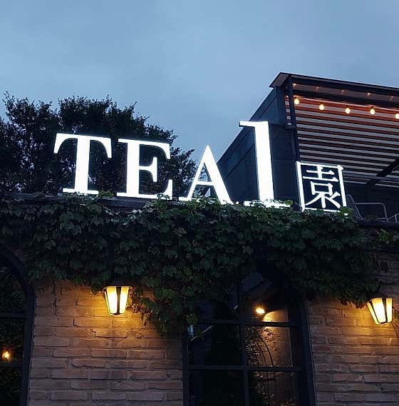 TEA1