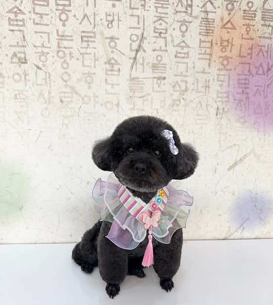 까망콩 · 네이버 지도·플레이스 7