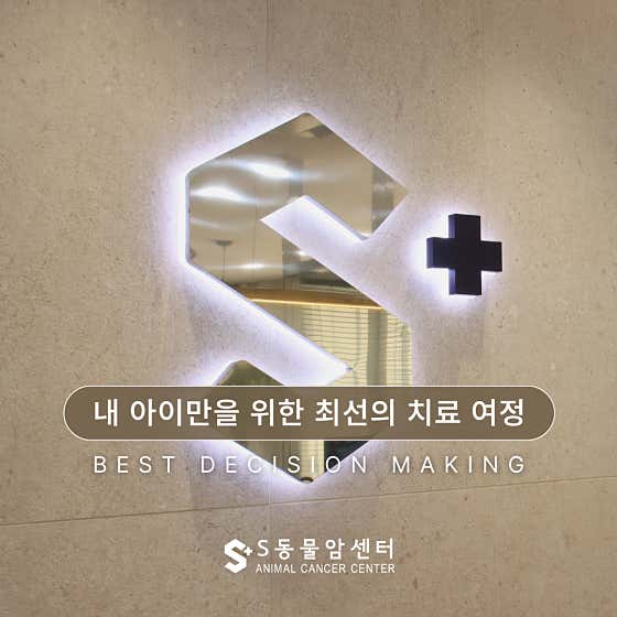 에스동물암센터