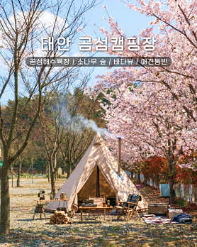곰섬캠핑장 대표이미지