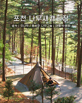 나무새캠핑장 대표이미지