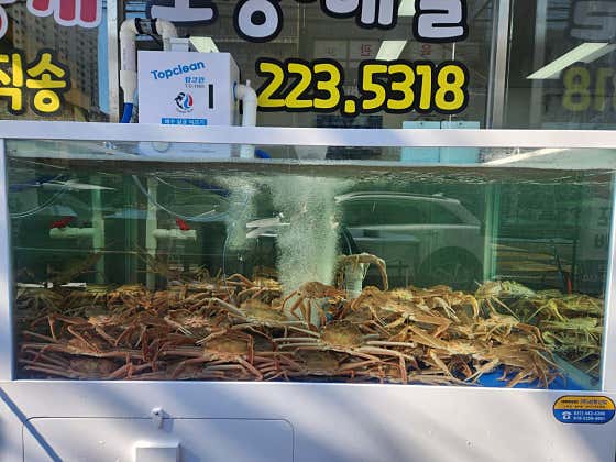 살아있네영덕대게홍게 · 네이버 지도·플레이스 2