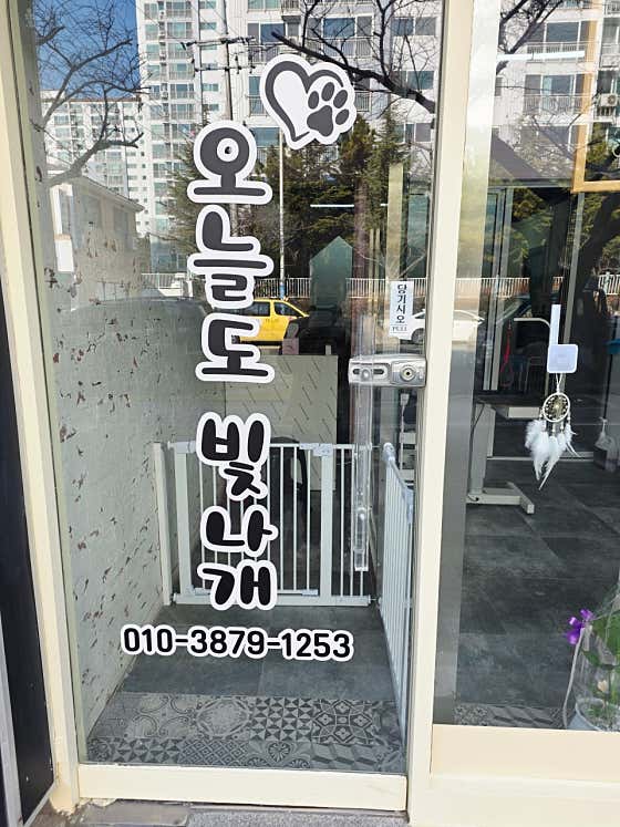 오늘도빛나개 · 네이버 지도·플레이스 3