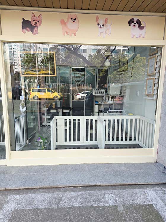 오늘도빛나개 · 네이버 지도·플레이스 4