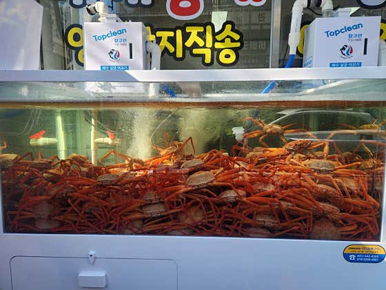 살아있네영덕대게홍게 · 네이버 지도·플레이스 3