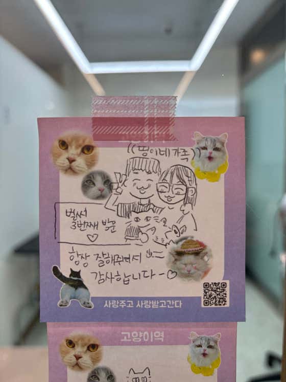 온리애옹 · 네이버 지도·플레이스 7