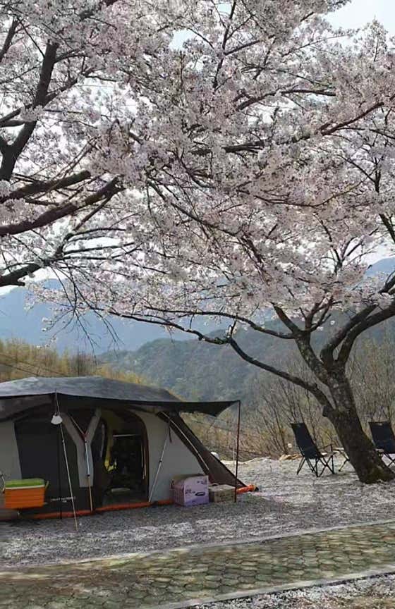 지리산 당근 오토캠핑장 대표이미지
