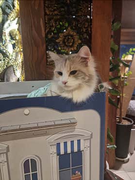 허브힐링타이마사지 (다산역) 매장 사진 5