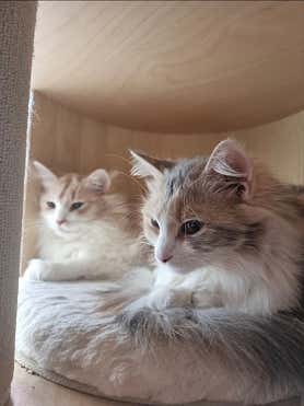 허브힐링타이마사지 (다산역) 매장 사진 2