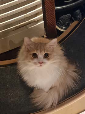 허브힐링타이마사지 (다산역) 매장 사진 3