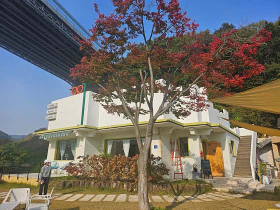 애견마당
